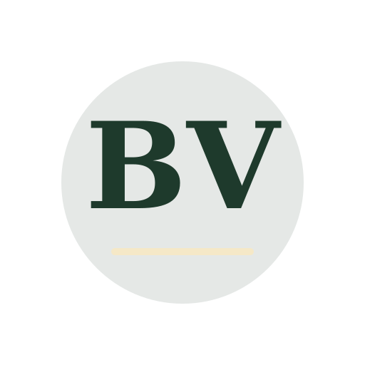 Bright Vista Air Duct Services logo